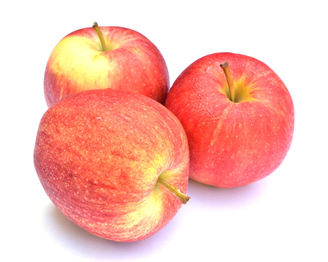 Apple Royal Gala
