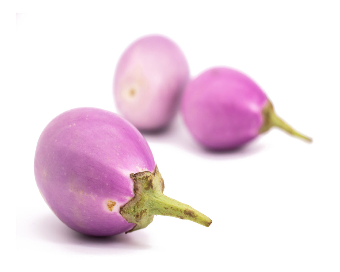 Aubergine Pink Ravaya
