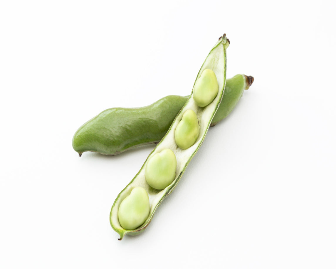 Broad Beans