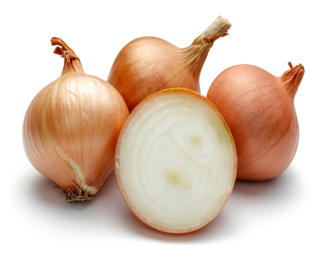 Brown Onion
