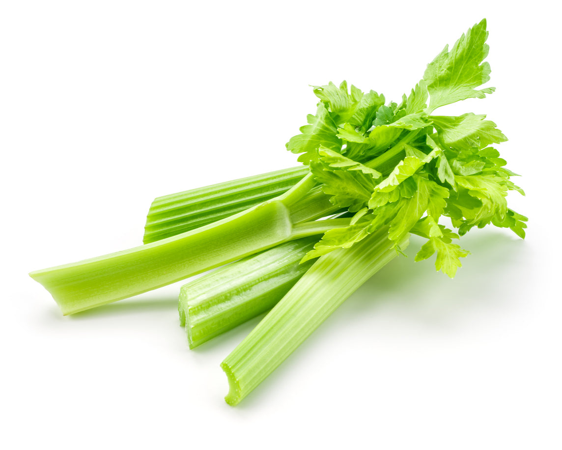 Celery