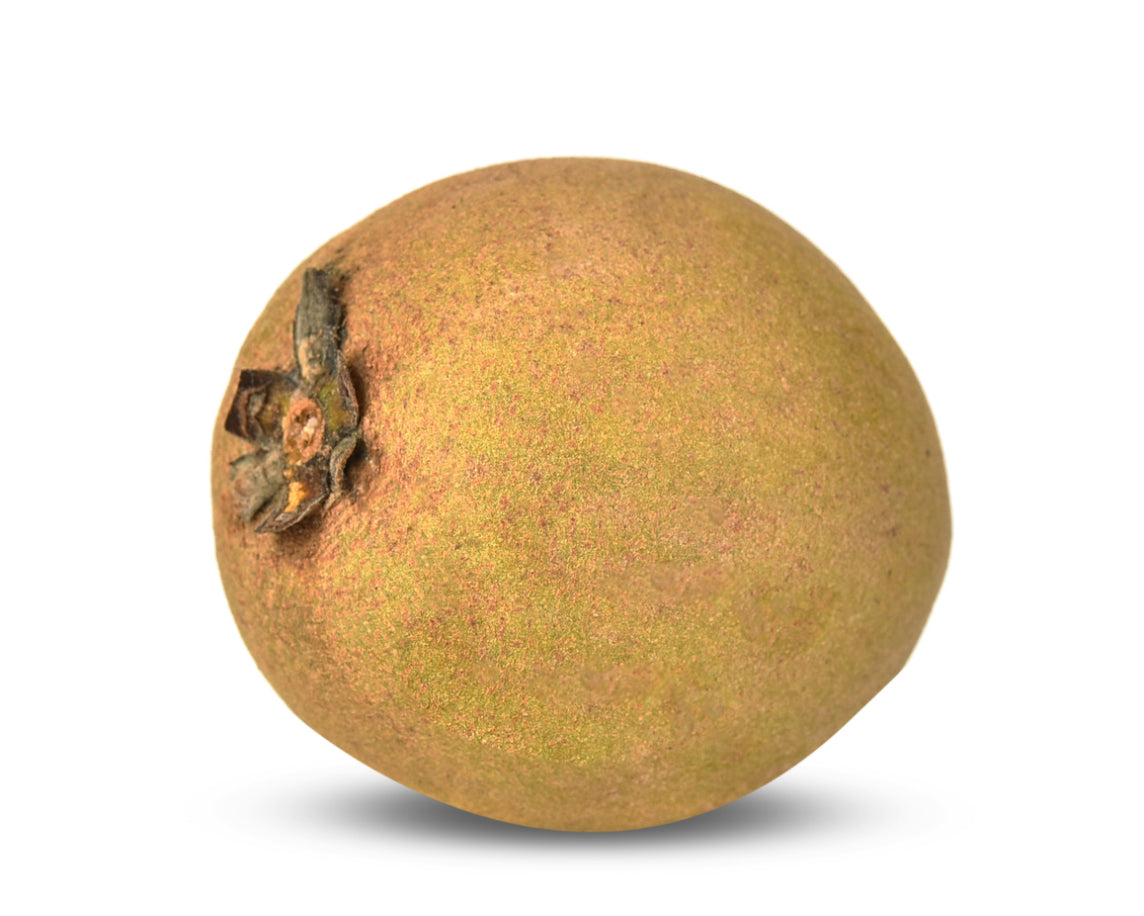 Chickoo/Sapodilla