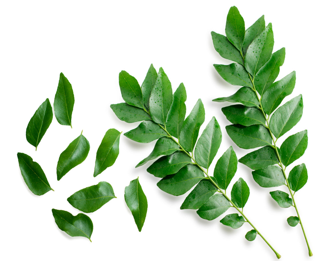 Curry Leaf