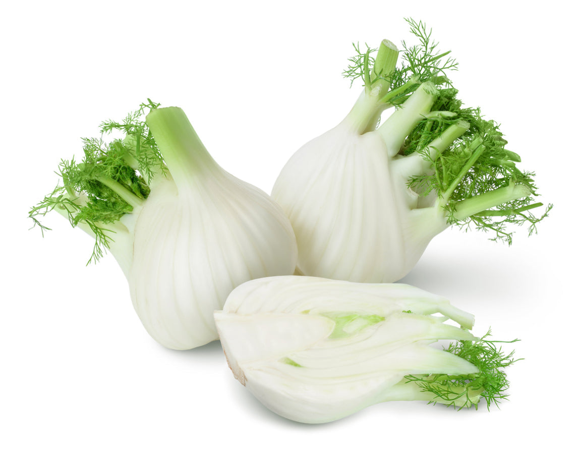 Fennel