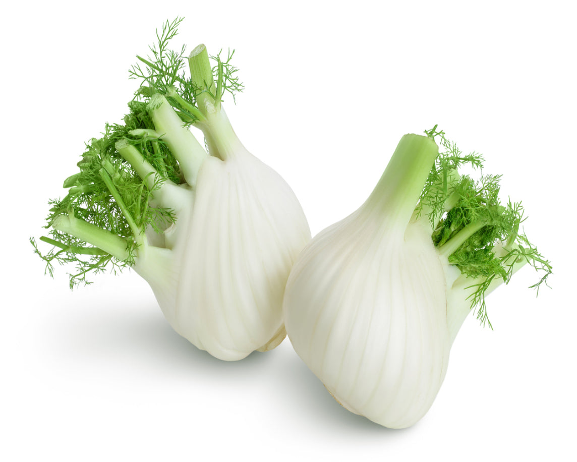 Fennel