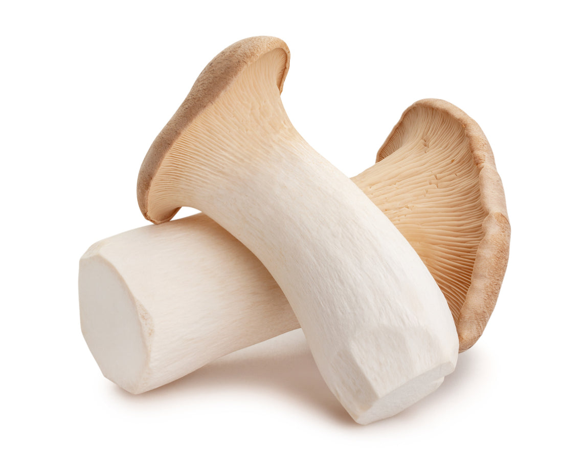 King Oyster Mushroom