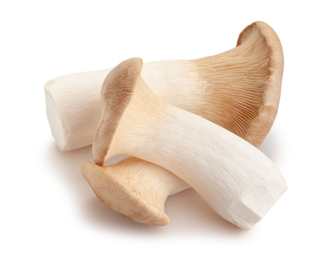 King Oyster Mushroom