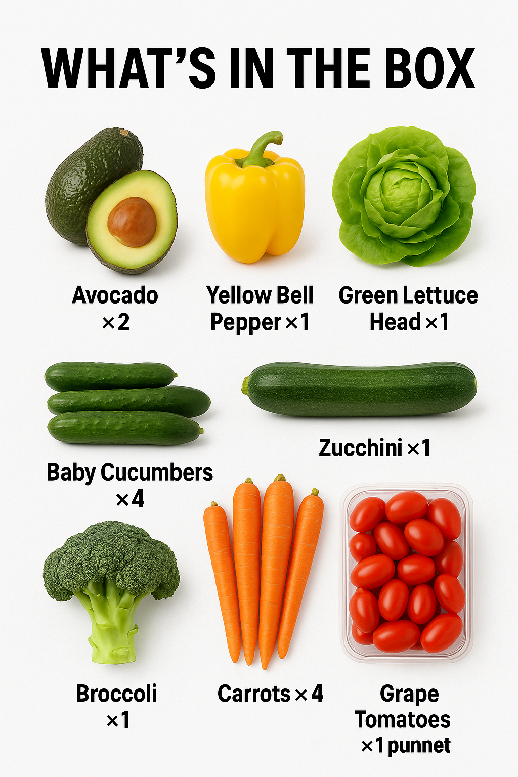 Salad Box V