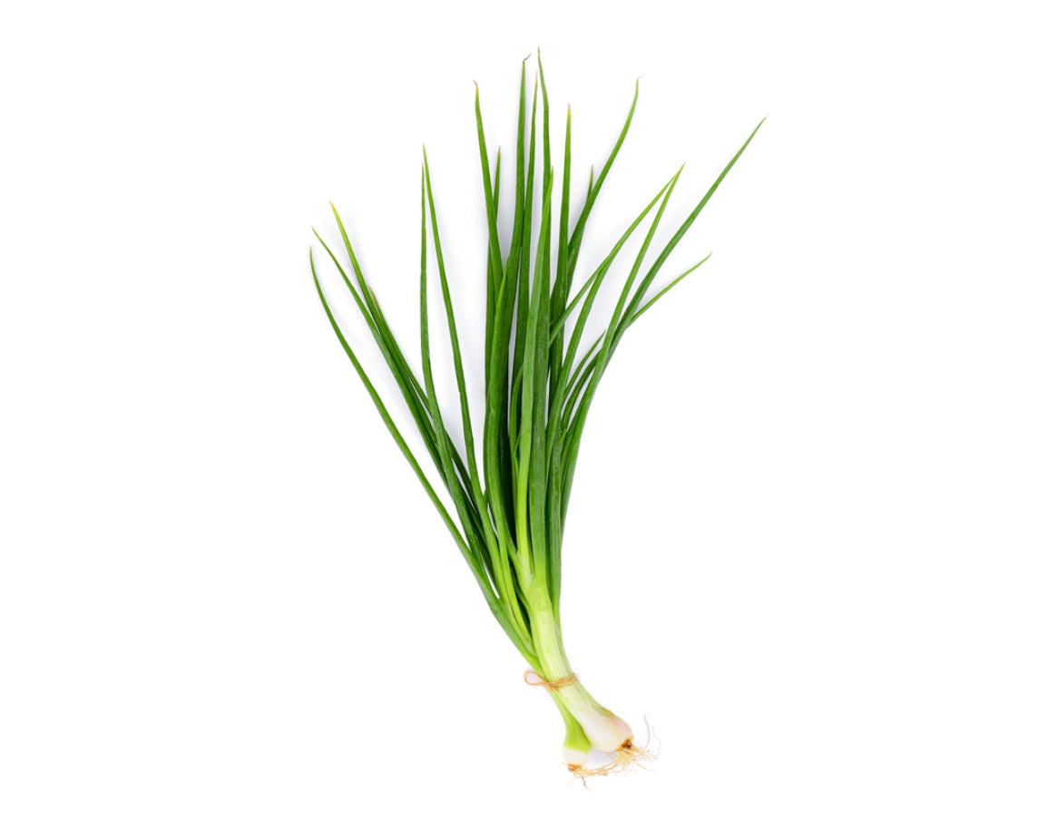 spring Onion