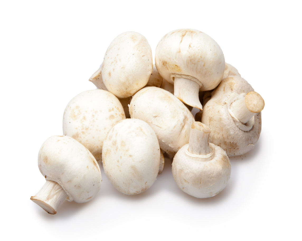 White Mushroom