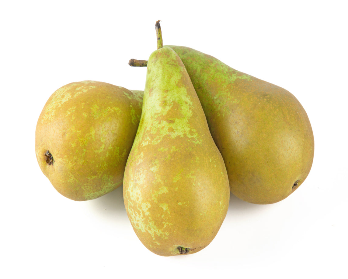 Conference Pear