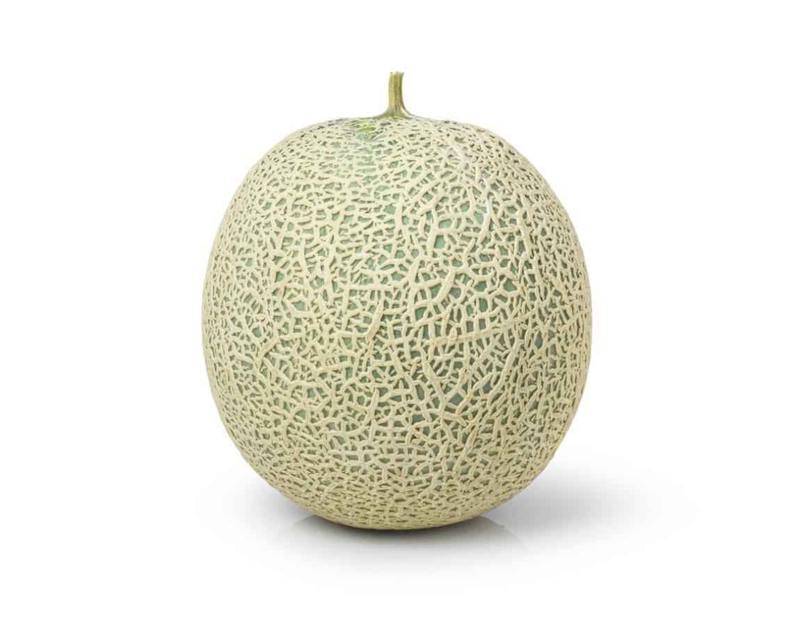 Cantaloupe Melon