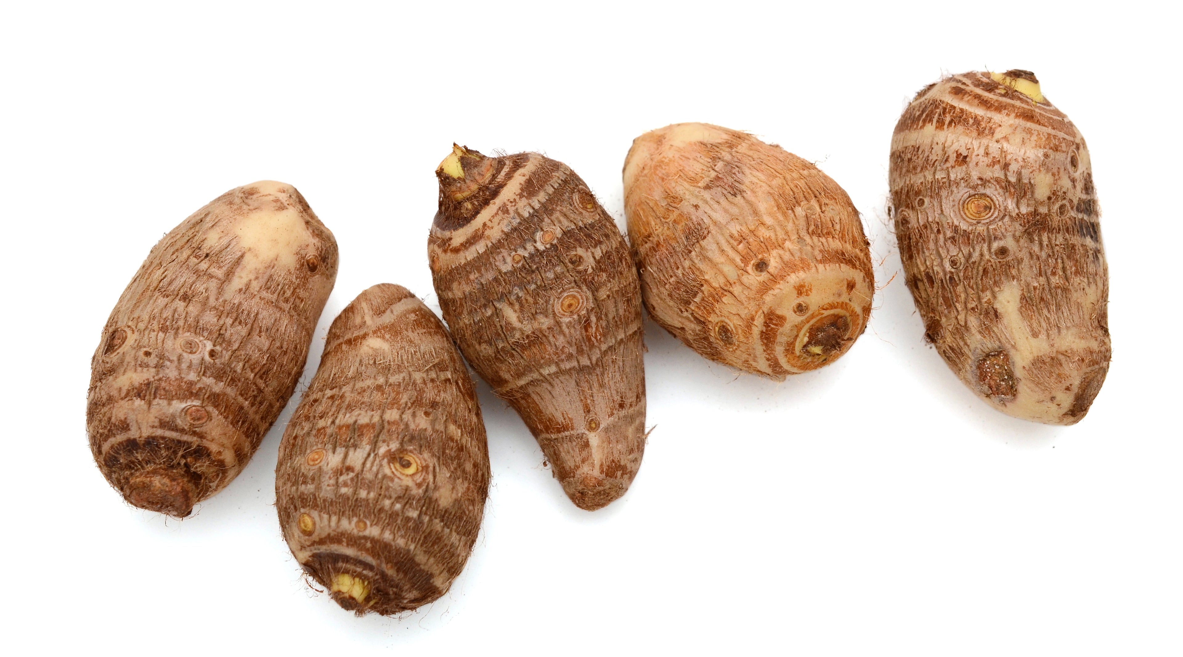 Eddoes (Taro Root) – Nutty, Creamy & Highly Nutritious
