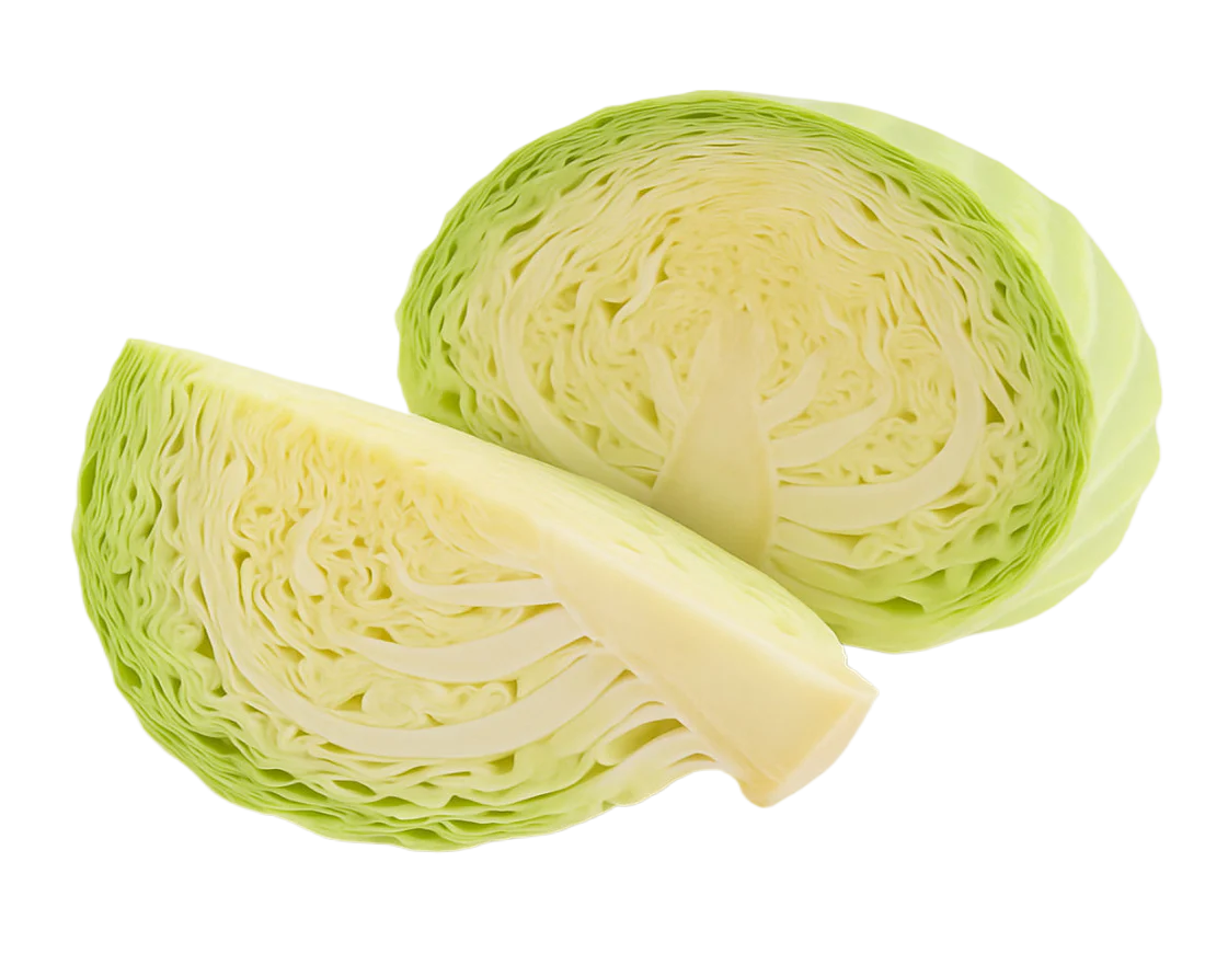 White Cabbage