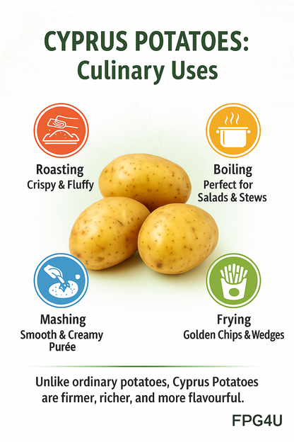 Cyprus Potatoes – Fresh, Firm &amp; Flavorful