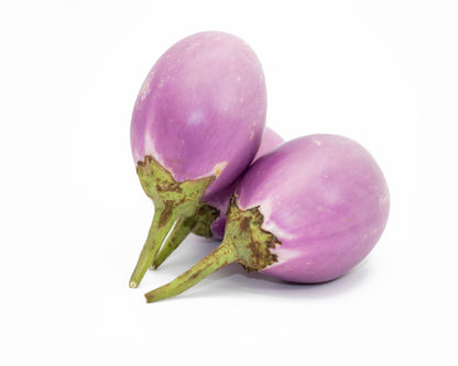 Aubergine Pink Ravaya