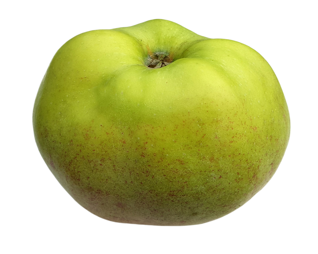 Bramley Apples