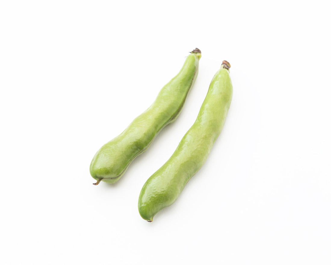Broad Beans