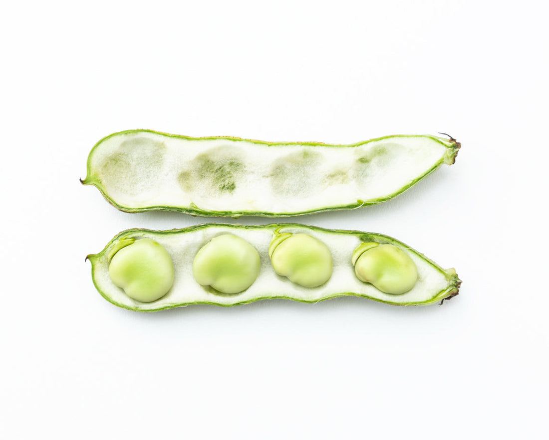 Broad Beans