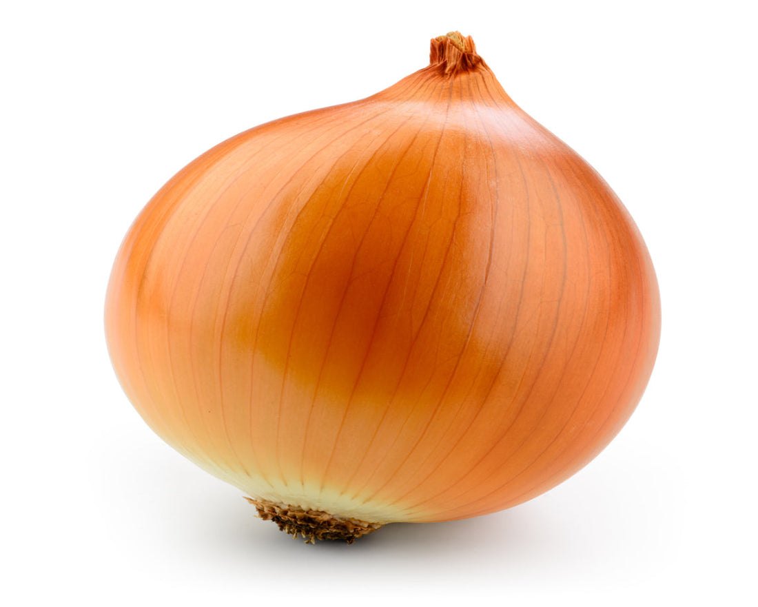 Brown Onion