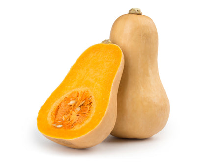 Butternut Squash