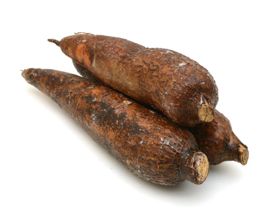 Casava