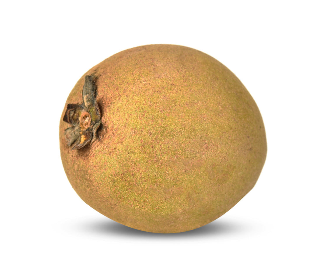 Chickoo/Sapodilla
