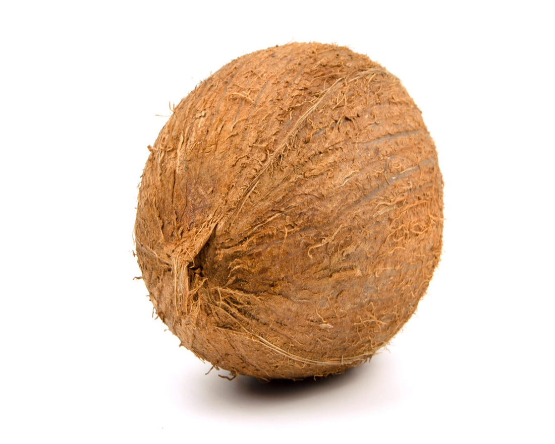 Coconut