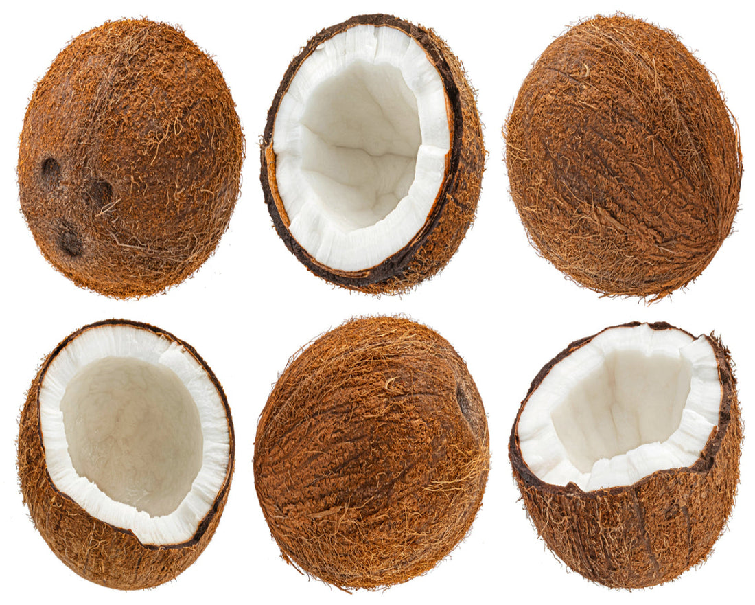 Coconut
