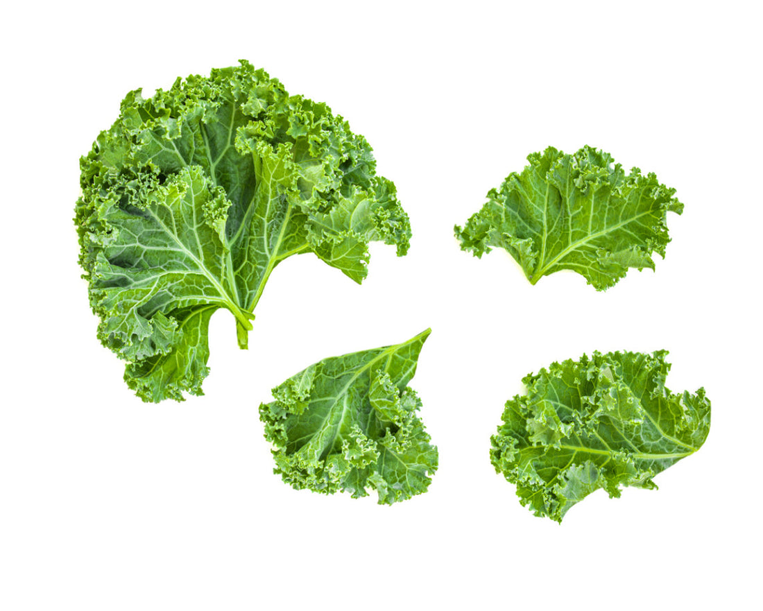 Curly Kale