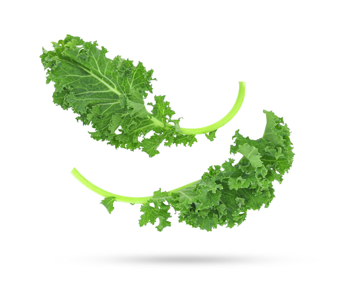 Curly Kale