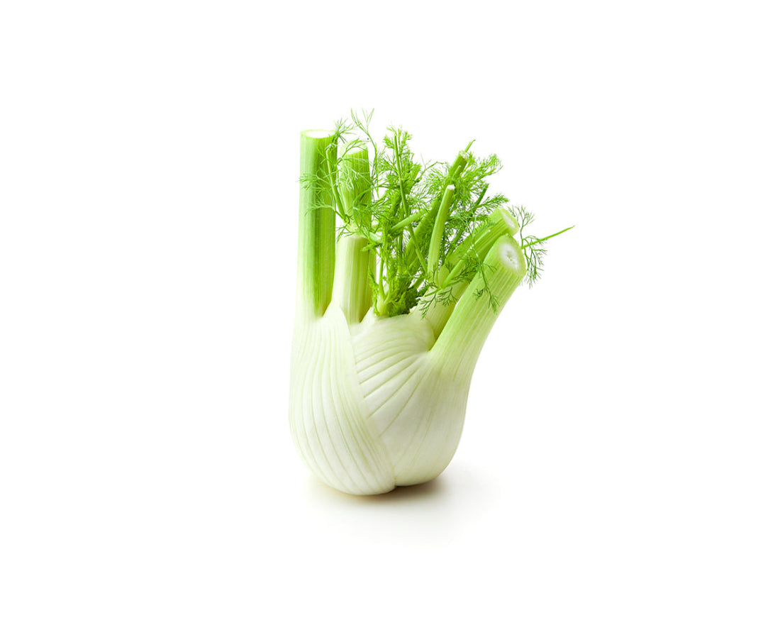 Fennel