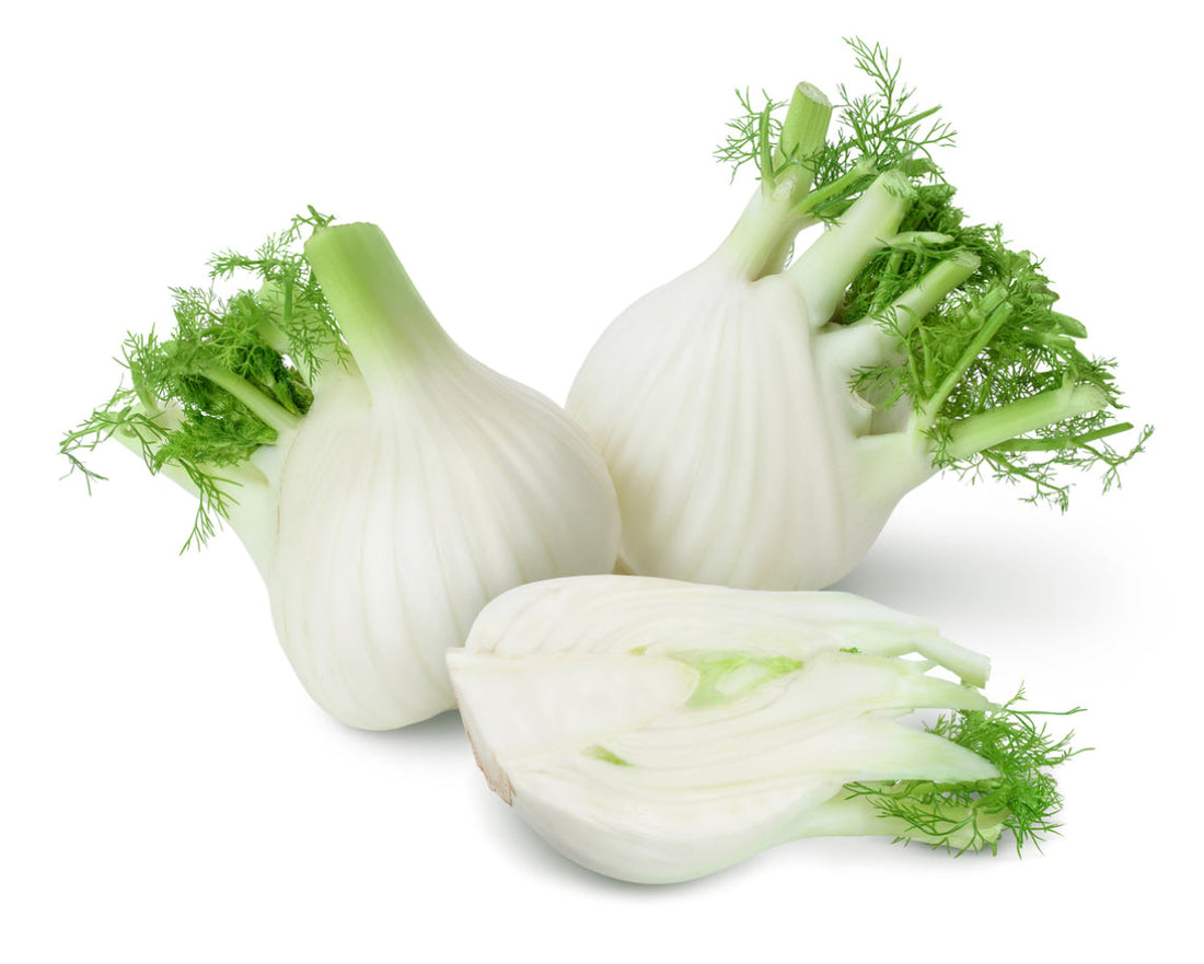 Fennel