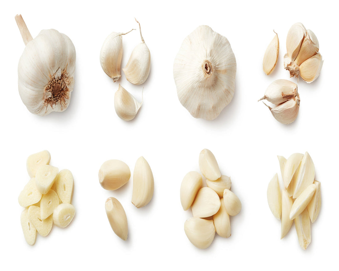 Garlic