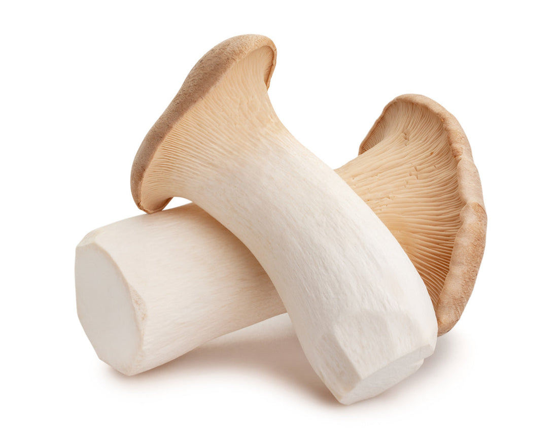 King Oyster Mushroom