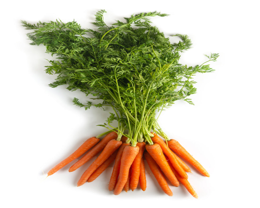 Leafy Carrots Bunch