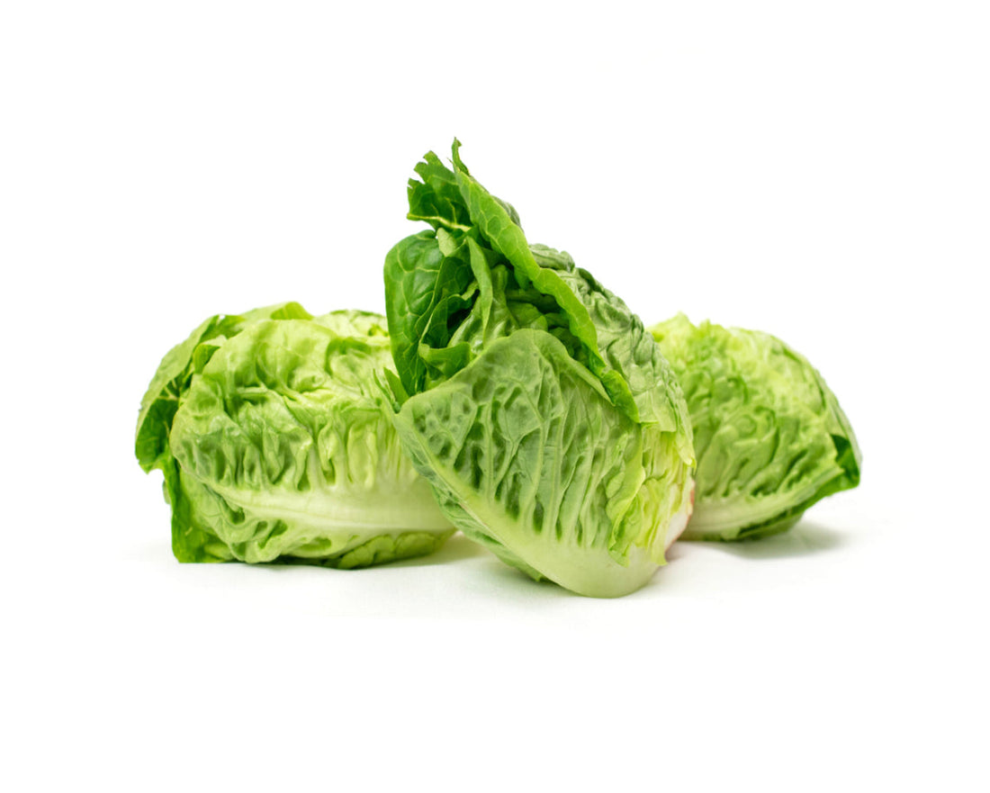 Little gem Lettuce
