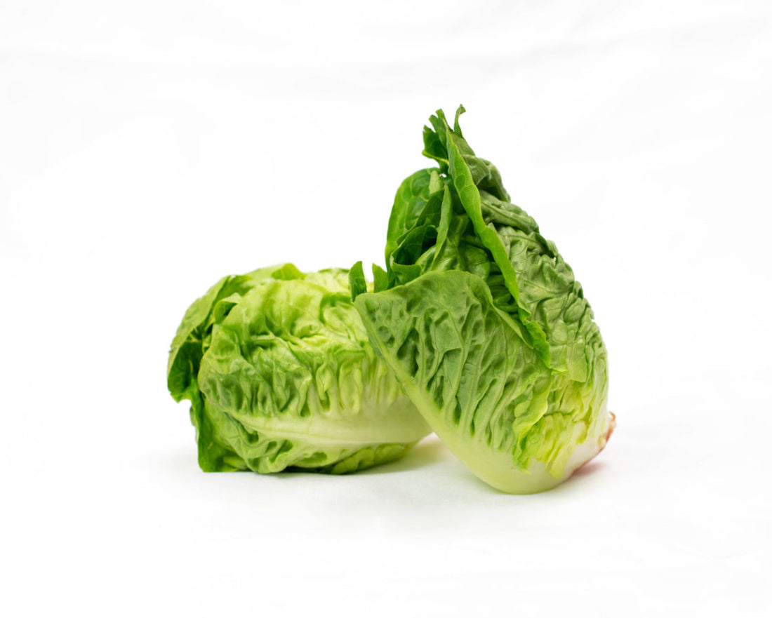 Little gem Lettuce