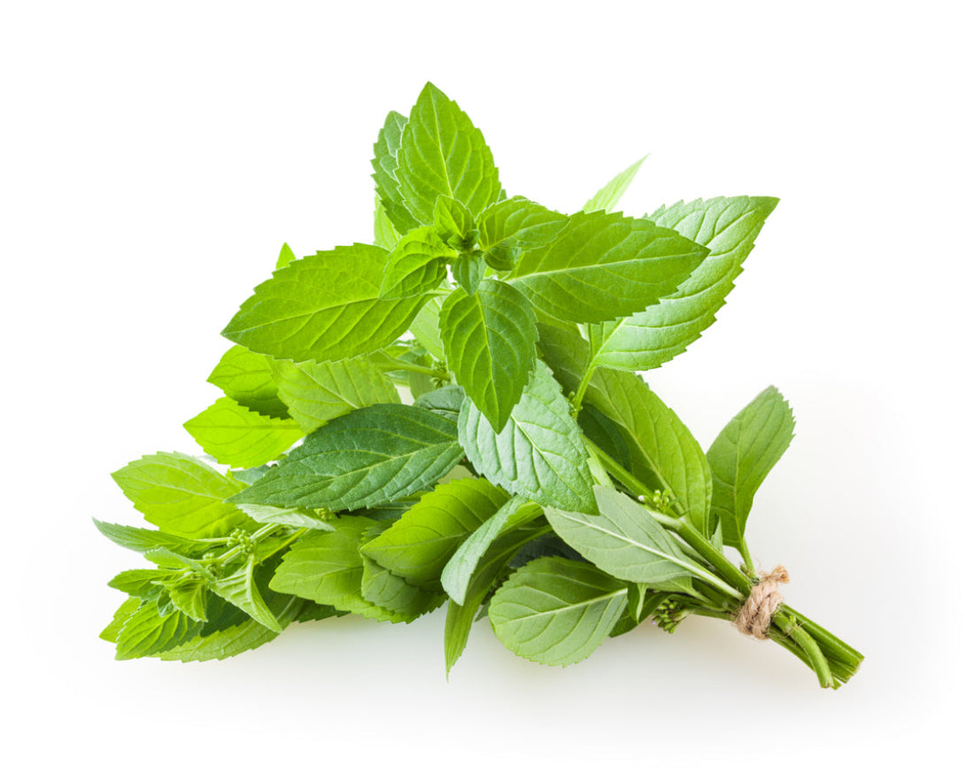 Mint