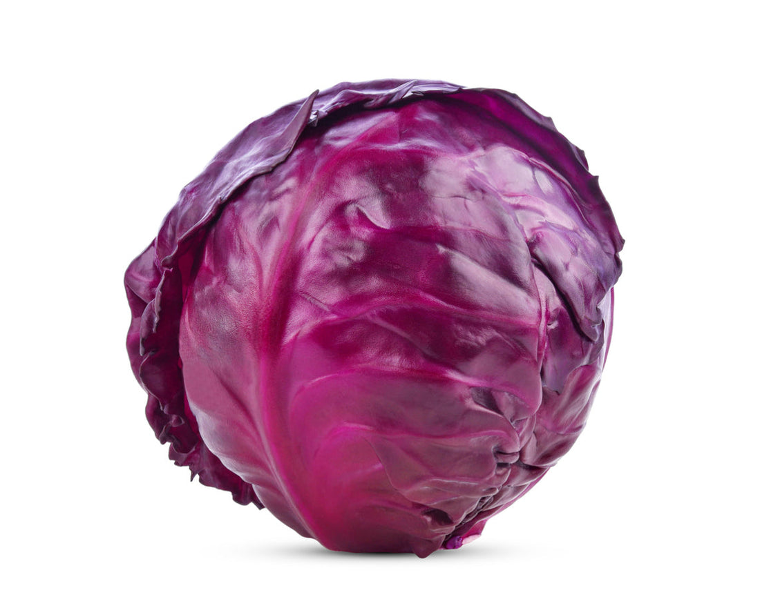 Red Cabbage