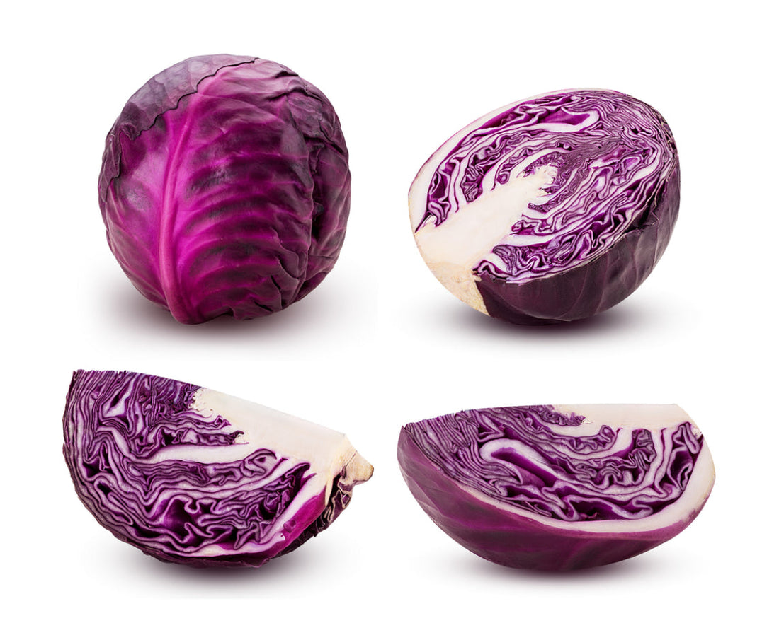 Red Cabbage
