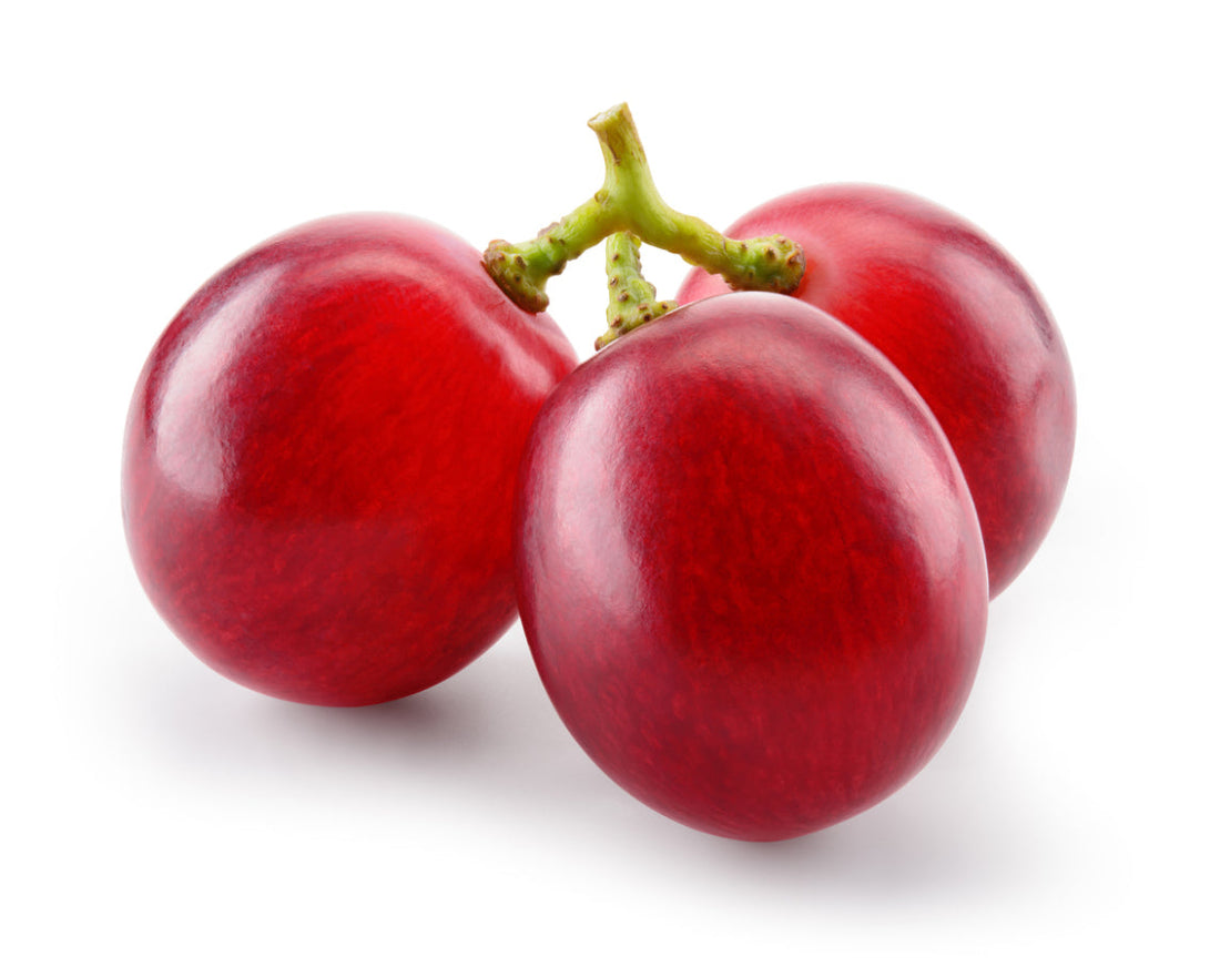 Red Garpes