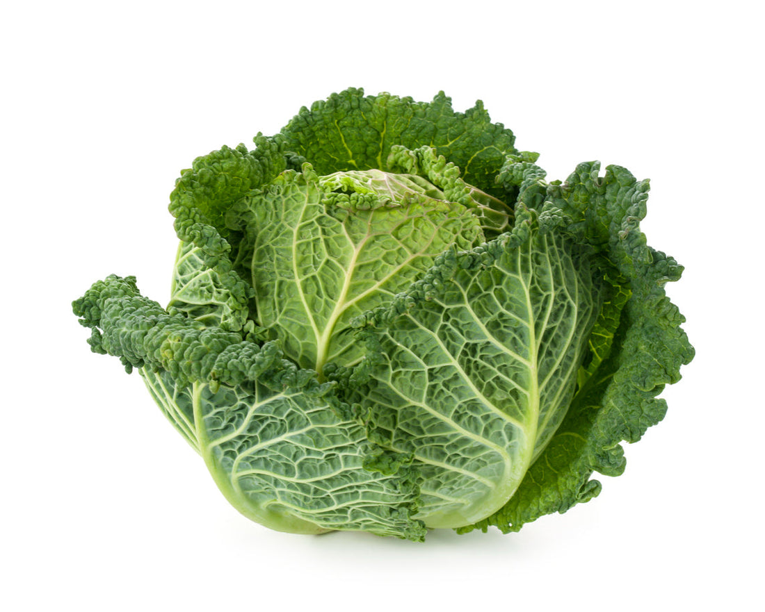 Savoy Cabbage