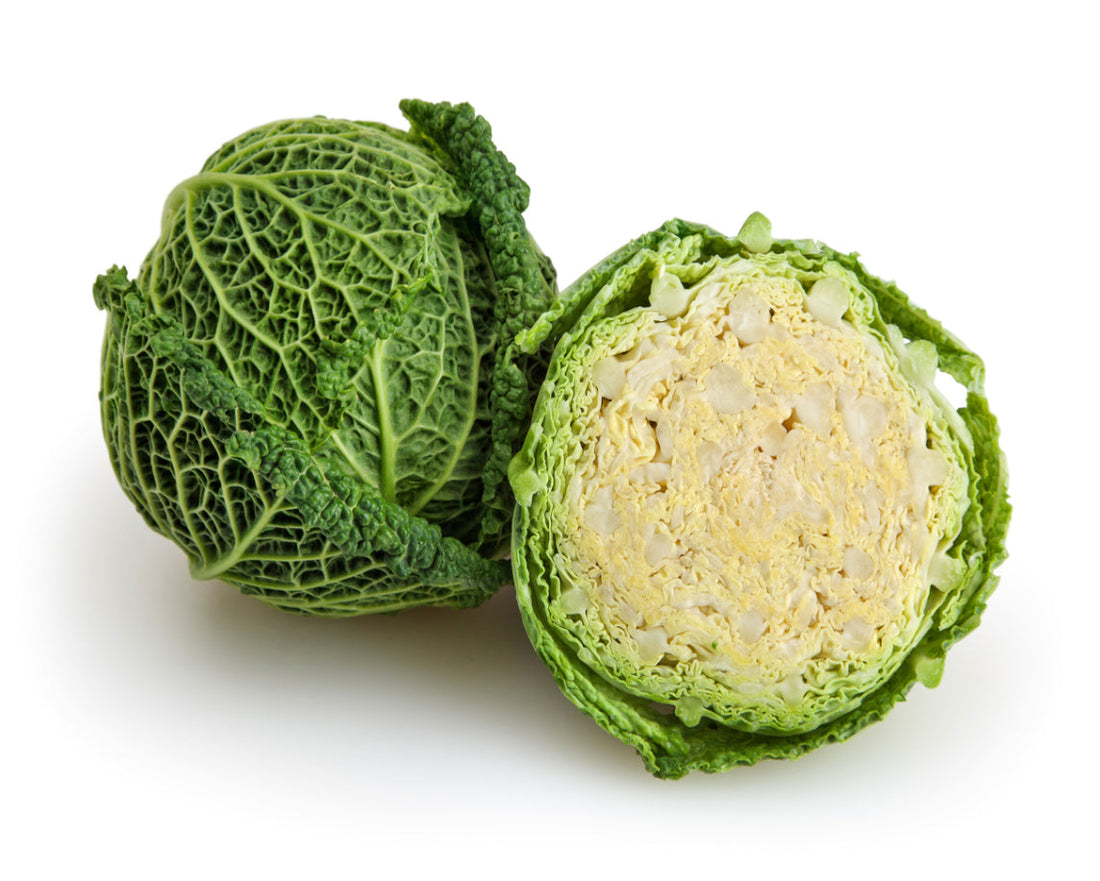 Savoy Cabbage