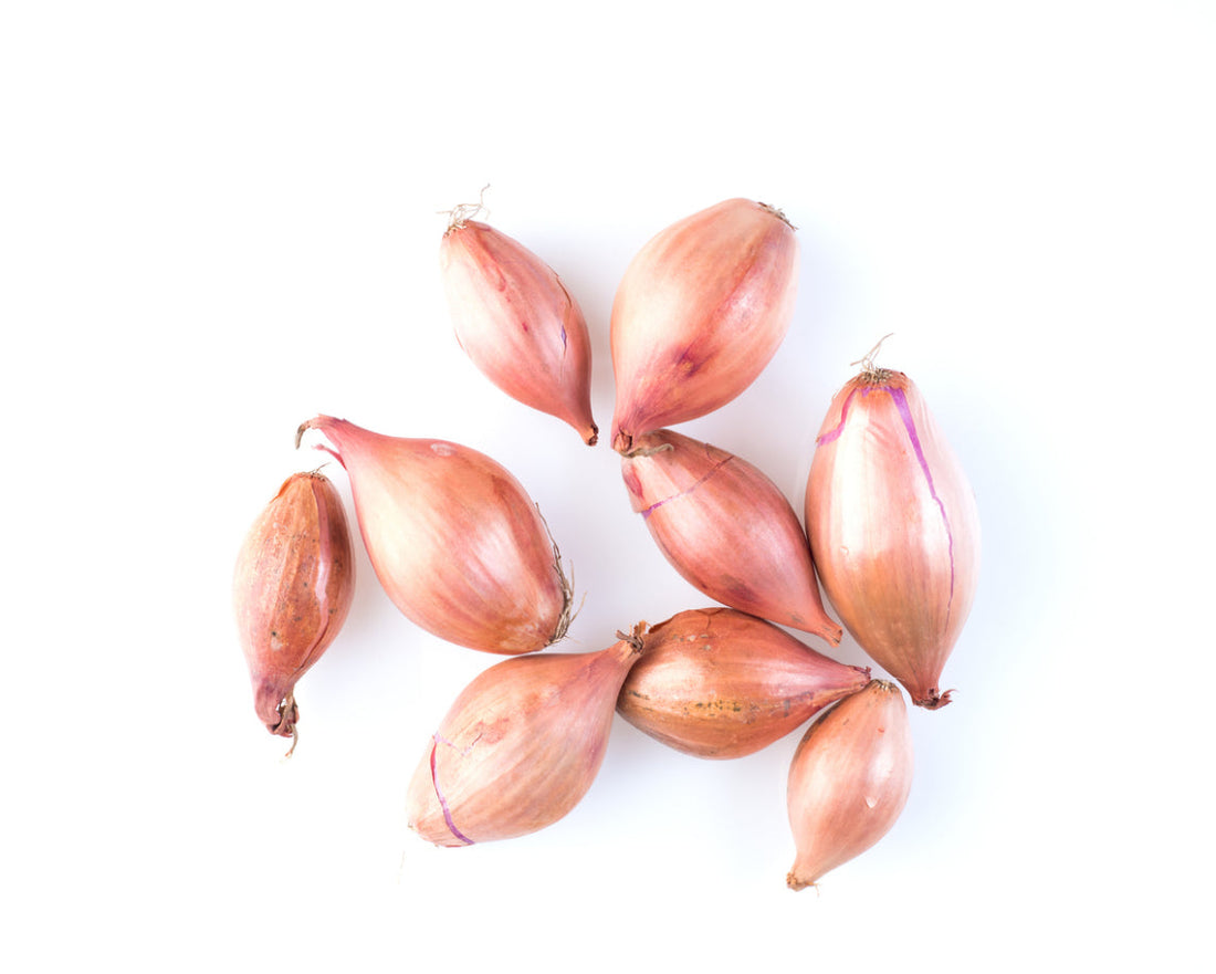 Sahllot Onion
