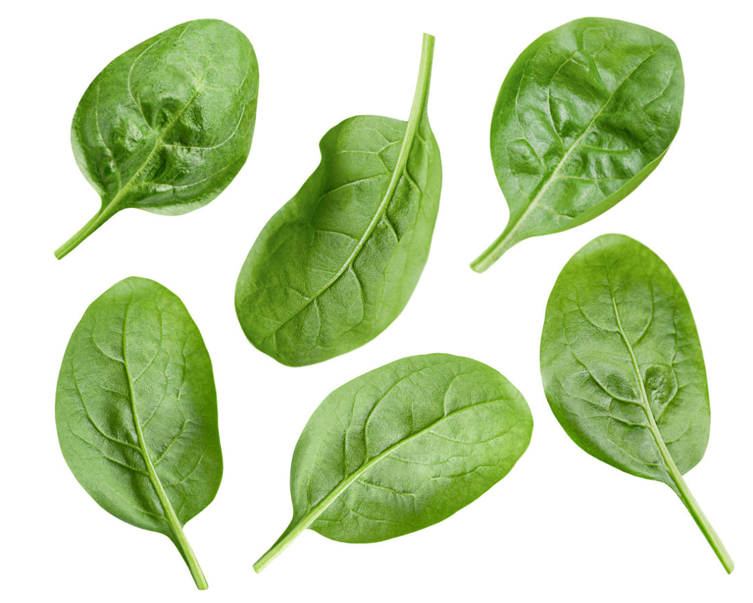 Spinach