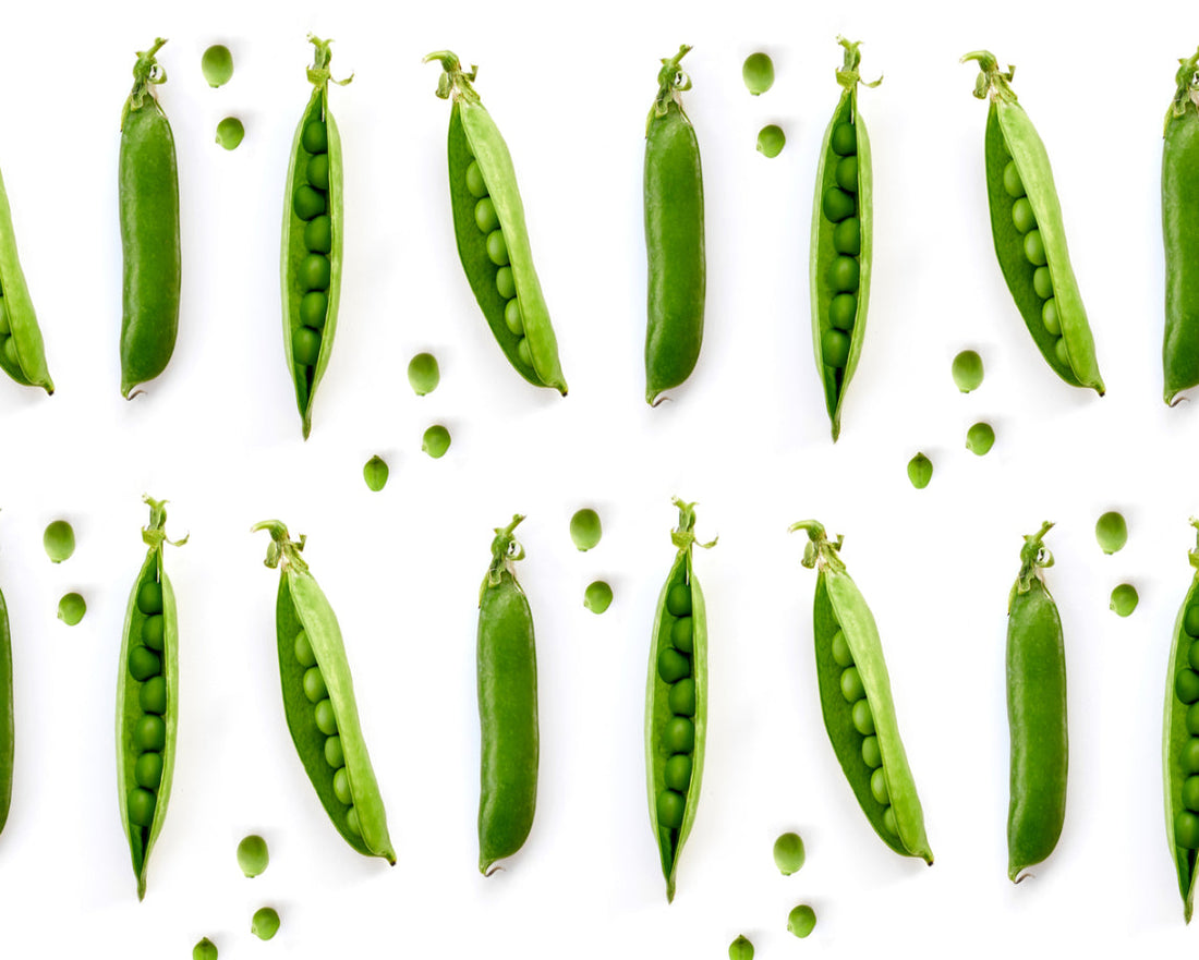 Sugar Snap Peas