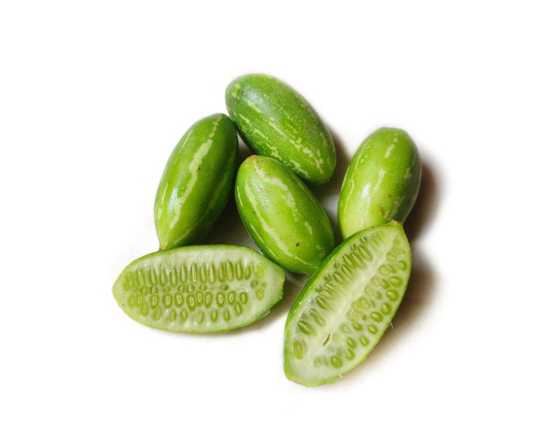 Tindora