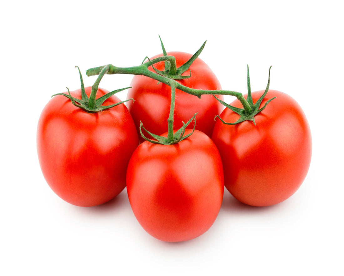 Vine Tomato