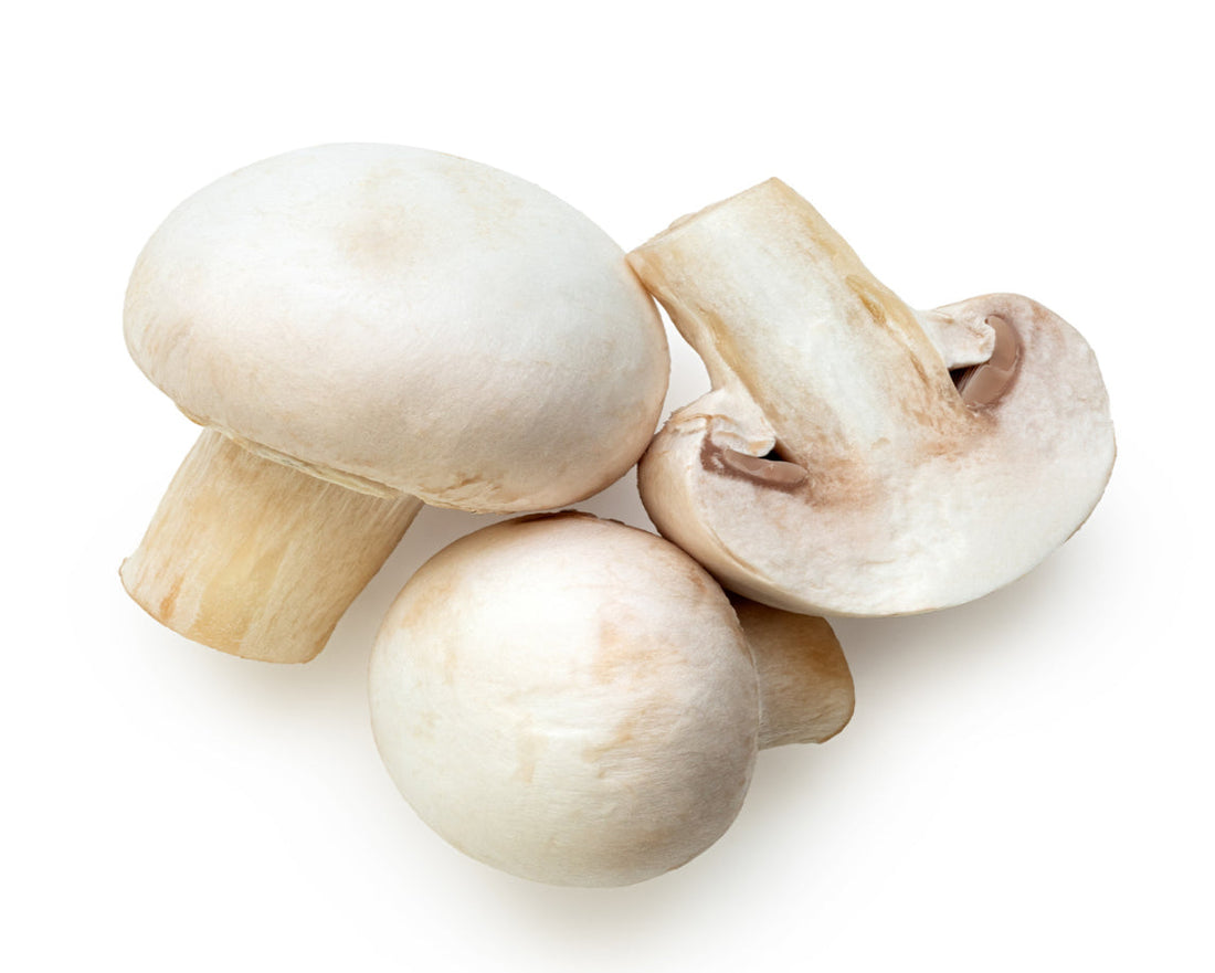 White Mushroom